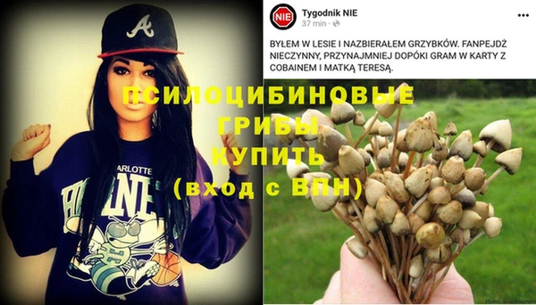 винт Алексин
