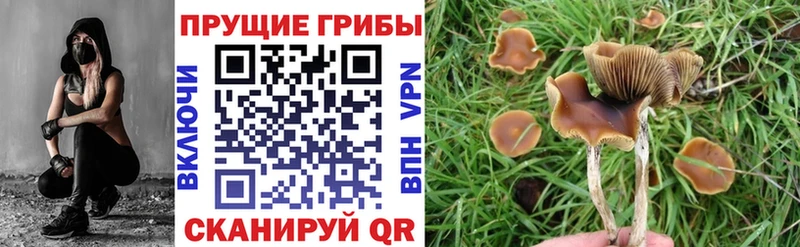 Галлюциногенные грибы мухоморы  Чебоксары 